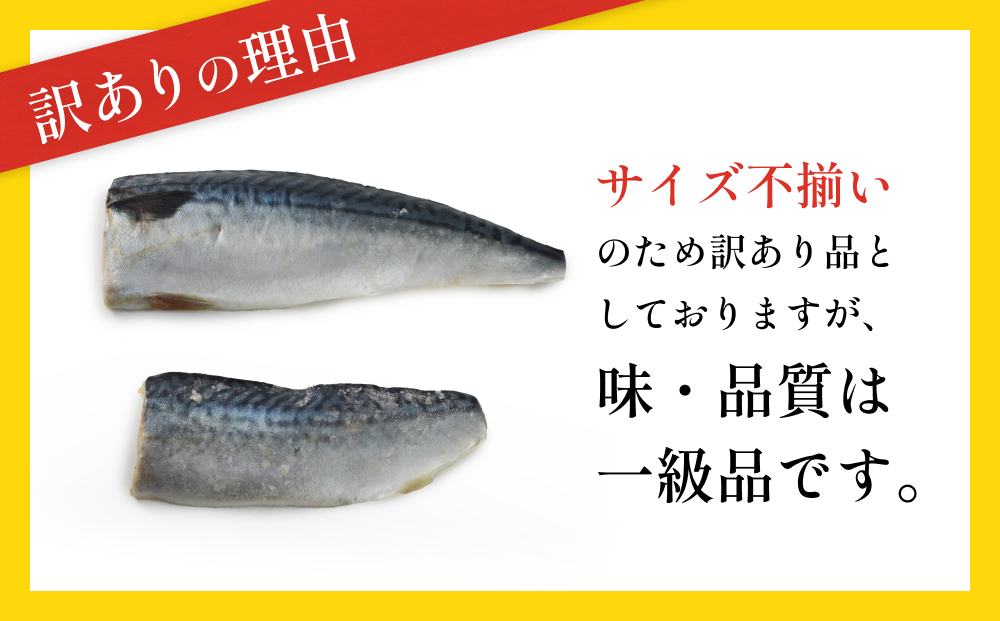 訳あり 塩サバフィーレ1kg（10枚前後） 鯖 冷凍 不揃い 魚 お魚 おかず お弁当 美味しい 簡単調理