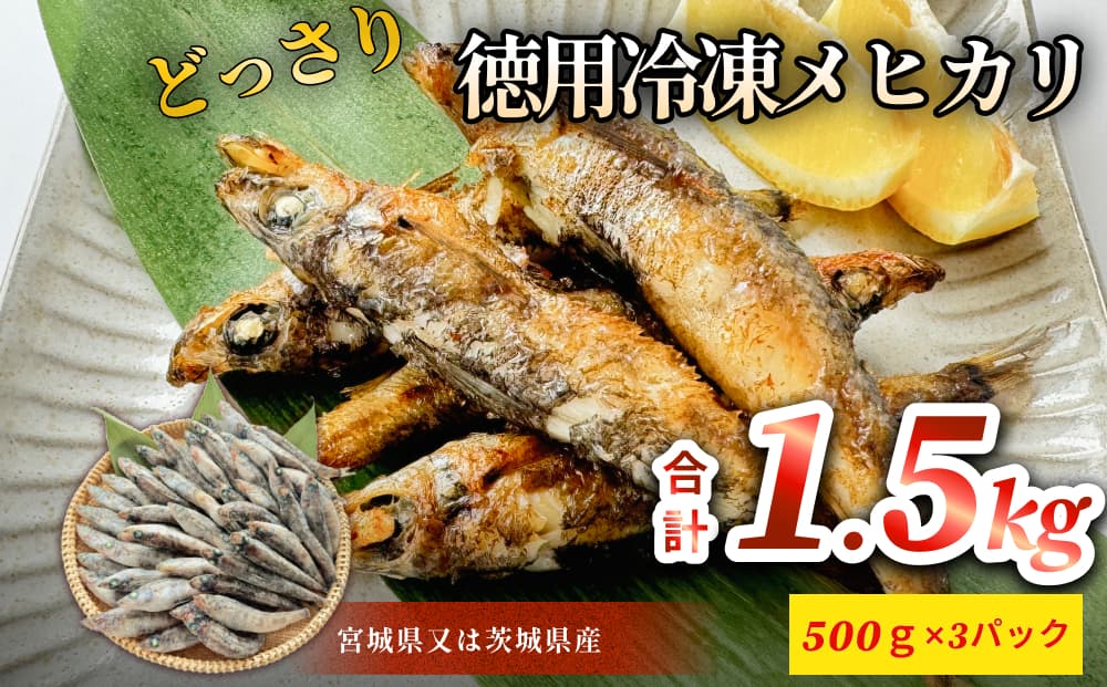 徳用冷凍メヒカリ（どっさり1.5kg）目光 魚 冷凍 唐揚げ 塩焼き 天ぷら お魚 おかず おつまみ