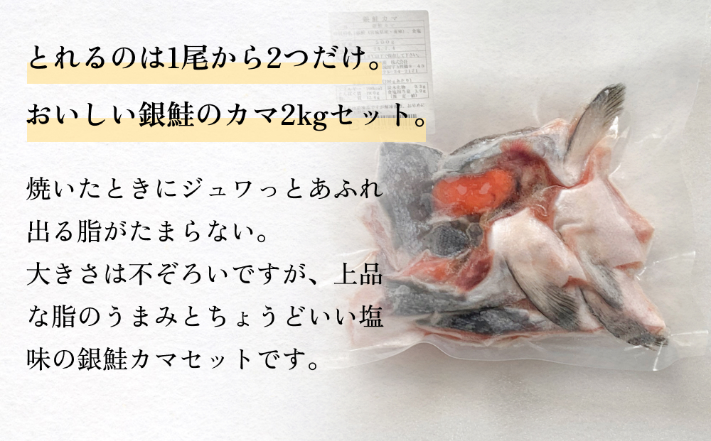 訳あり みやぎサーモン鮭カマセット さけ 銀鮭 切り身 冷凍 焼き魚 おかず おつまみ 美味しい 