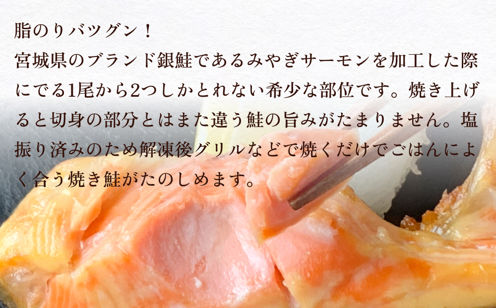 訳あり みやぎサーモン鮭カマセット さけ 銀鮭 切り身 冷凍 焼き魚 おかず おつまみ 美味しい 