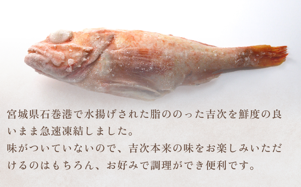 冷凍きちじ(きんき)　5尾 吉次 キンキ 魚 煮物 塩焼き 素揚げ おかず 魚 お魚 美味しい