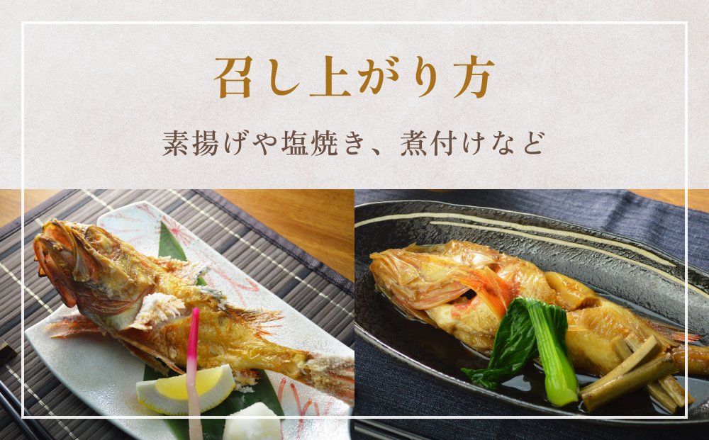 冷凍きちじ(きんき)　5尾 吉次 キンキ 魚 煮物 塩焼き 素揚げ おかず 魚 お魚 美味しい