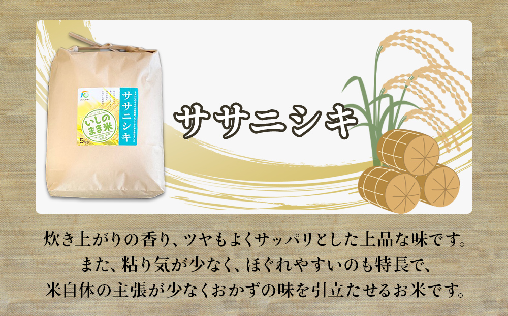 令和６年産 米 ササニシキ 定期便 5kg × 10回 お米 精米 白米 環境保全米 ご飯 こめ コメ