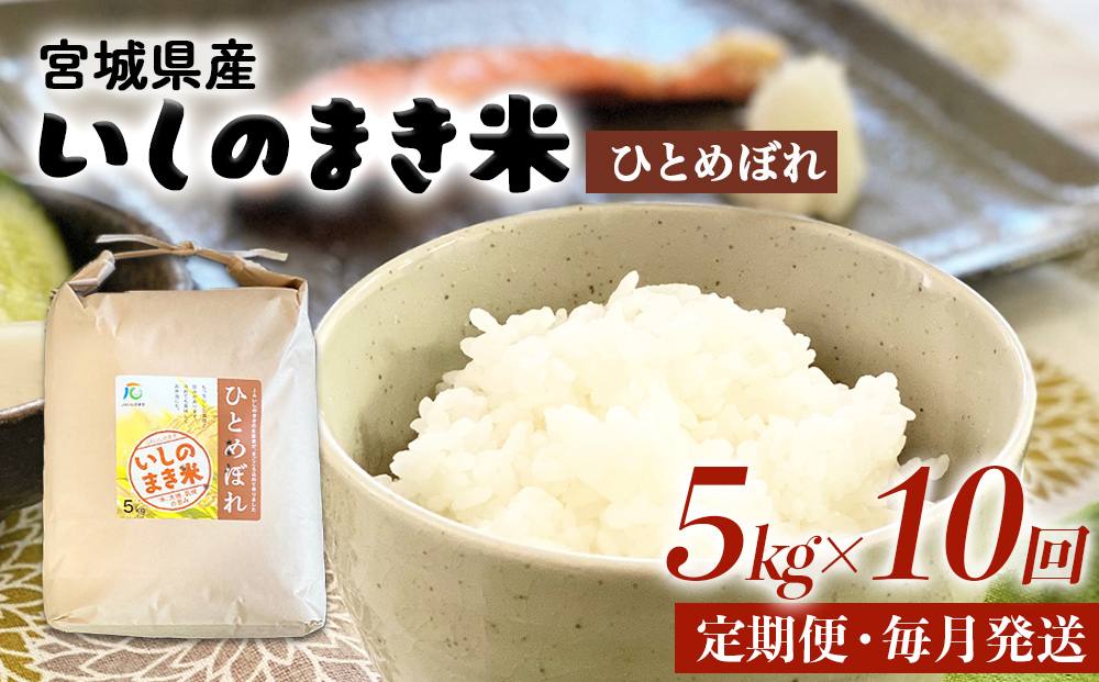 令和６年産 米 ひとめぼれ 定期便 5kg × 10回 お米 精米 白米 環境保全米 ご飯 こめ コメ