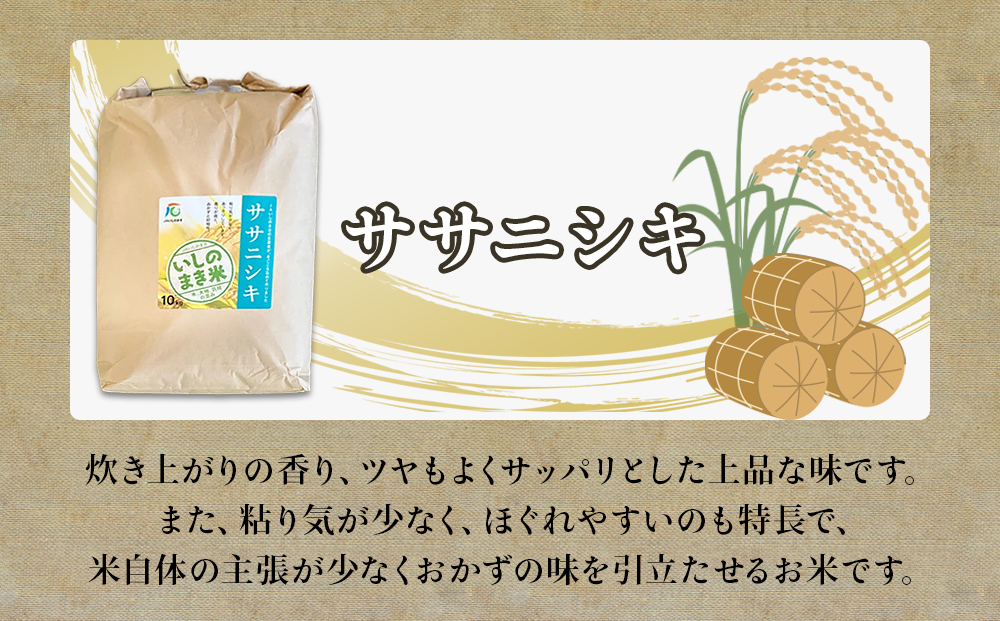 令和６年産 米 ササニシキ 定期便 10kg × 10回 お米 精米 白米 環境保全米 ご飯 こめ コメ