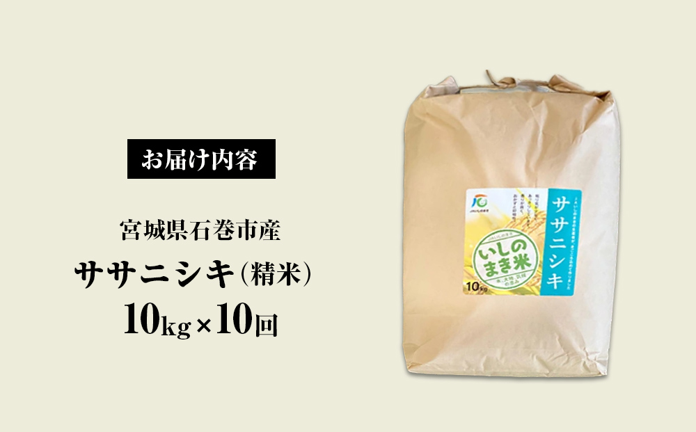 令和６年産 米 ササニシキ 定期便 10kg × 10回 お米 精米 白米 環境保全米 ご飯 こめ コメ