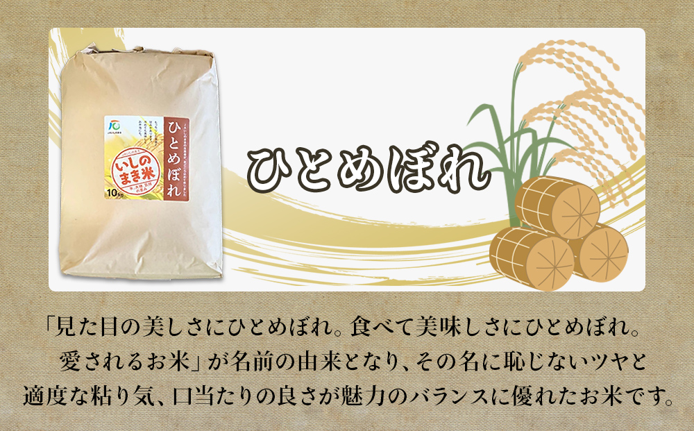 令和６年産 米 ひとめぼれ 定期便 10kg × 10回 お米 精米 白米 環境保全米 ご飯 こめ コメ