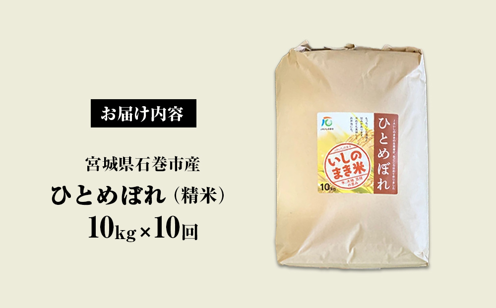 令和６年産 米 ひとめぼれ 定期便 10kg × 10回 お米 精米 白米 環境保全米 ご飯 こめ コメ