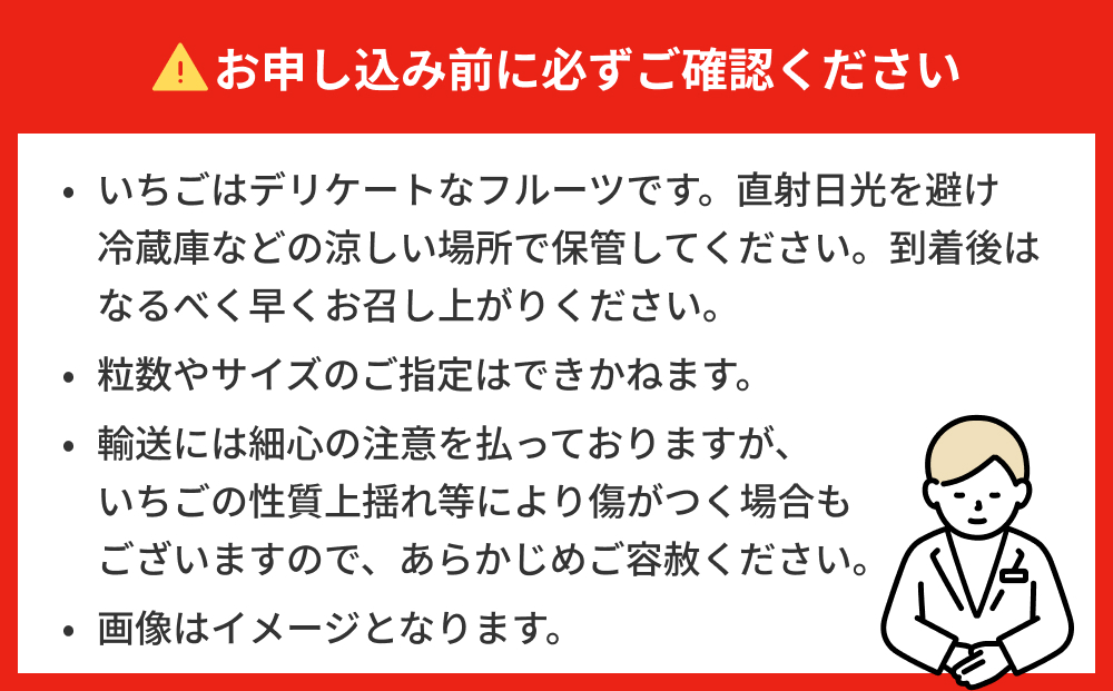 【2025年1月中旬より発送開始】いちご（恋みのり・とちおとめ）250g×4パック 冷蔵 苺 イチゴ フルーツ 果物 ストロベリー