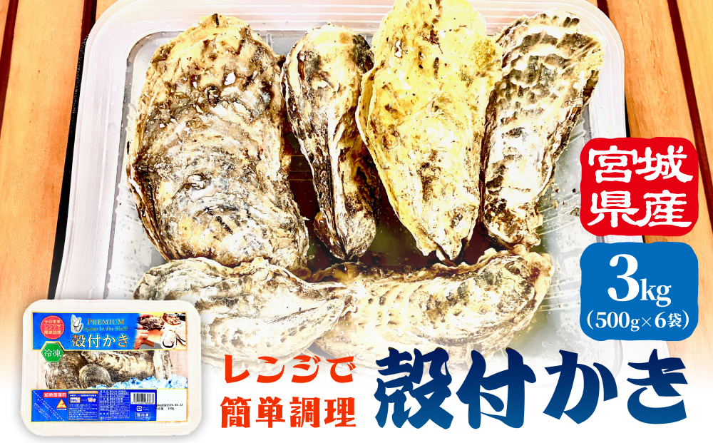 レンジで簡単調理 殻付きかきレンジ6P  簡単調理 BBQ 牡蠣 カキ 蒸し牡蠣 三陸 海鮮 魚介 海鮮物