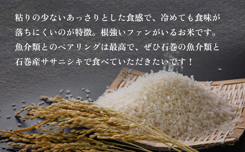 令和6年度産 石巻産ササニシキ（精米）　10kg  米 お米 白米 コメ ご飯 主食