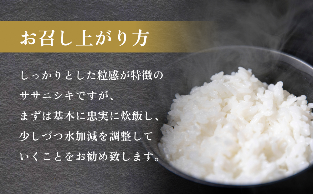 令和6年度産 石巻産ササニシキ（精米）　10kg  米 お米 白米 コメ ご飯 主食