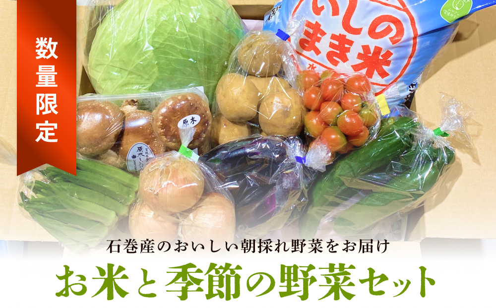 ＜数量限定＞石巻産 お米と季節の野菜セット 朝採れ 旬の野菜 季節の野菜 お野菜 詰め合わせ 食材 新鮮