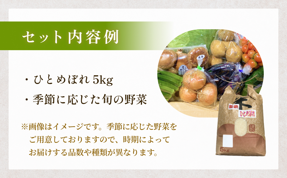 ＜数量限定＞石巻産 お米と季節の野菜セット 朝採れ 旬の野菜 季節の野菜 お野菜 詰め合わせ 食材 新鮮