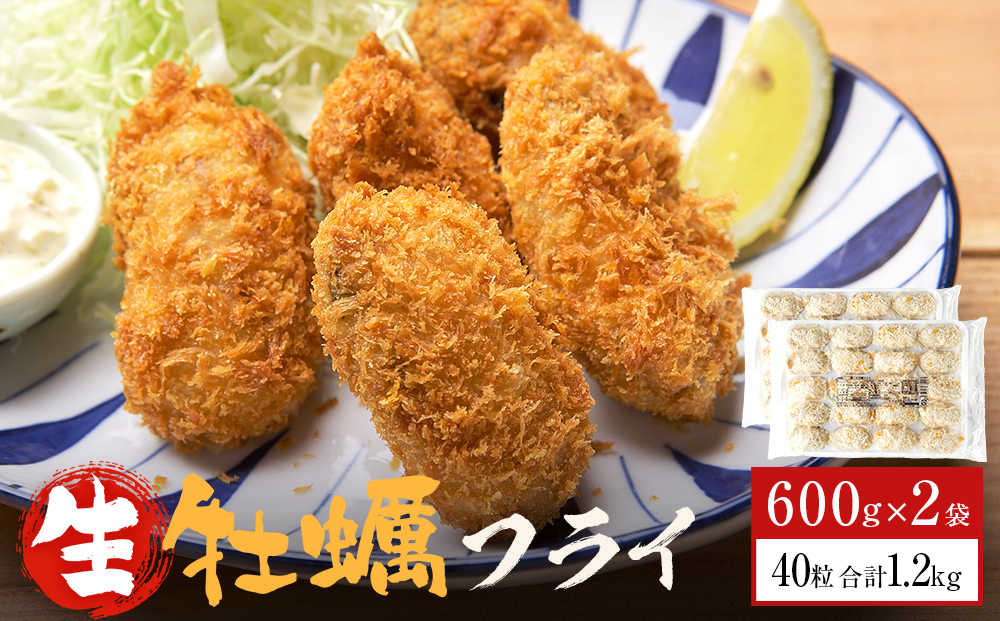 三陸産カキフライ600g（20粒入）×2パックセット 冷凍 牡蠣 かき 大粒 海鮮 貝 揚げ物 オイスター おかず おつまみ 美味しい サクサク