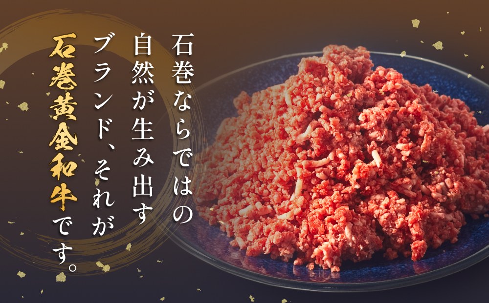 うしちゃんファームセット 和牛 切り落とし 300g 挽き肉 500g 冷凍 赤身 ひき肉 肉 牛肉 お肉 小分け 使いやすい