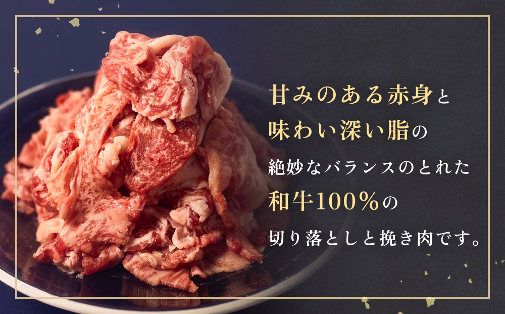 うしちゃんファームセット 2P 和牛 切り落とし 600g 挽き肉 1kg 冷凍 赤身 ひき肉 肉 牛肉 お肉 小分け 使いやすい