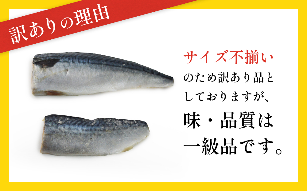 訳あり 無塩サバフィレ1.0kg（10枚前後） 冷凍 さば 鯖 不揃い 魚 お魚 焼き魚 煮魚 おかず お弁当 美味しい 簡単調理