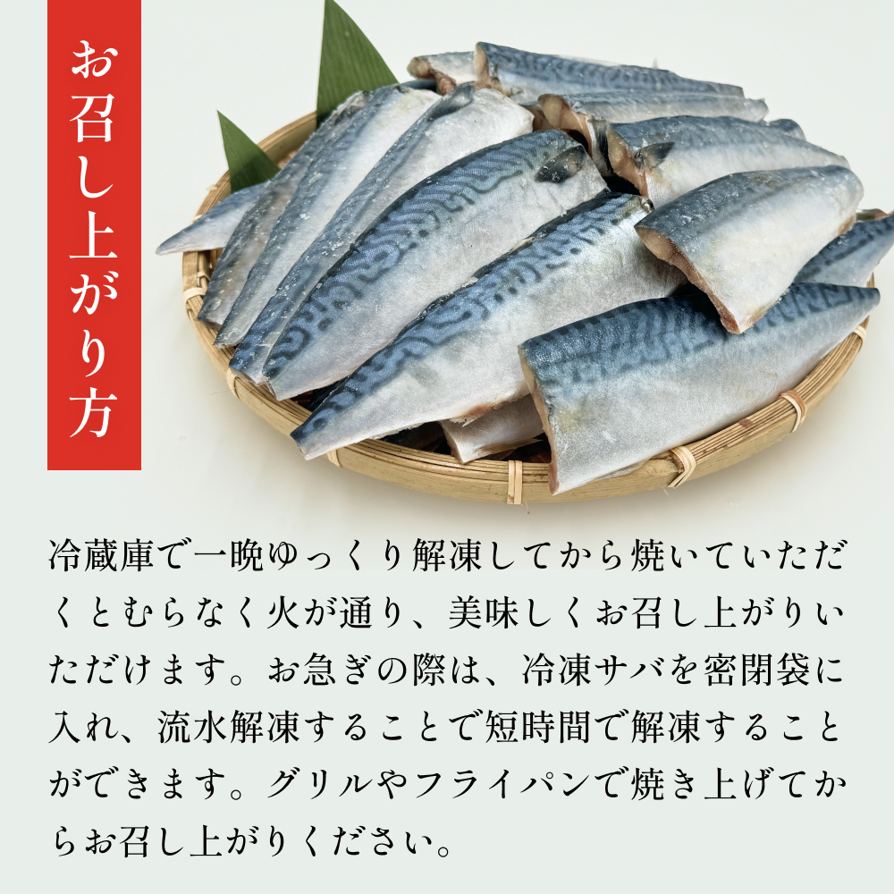 訳あり 無塩サバフィレ1.0kg（10枚前後） 冷凍 さば 鯖 不揃い 魚 お魚 焼き魚 煮魚 おかず お弁当 美味しい 簡単調理