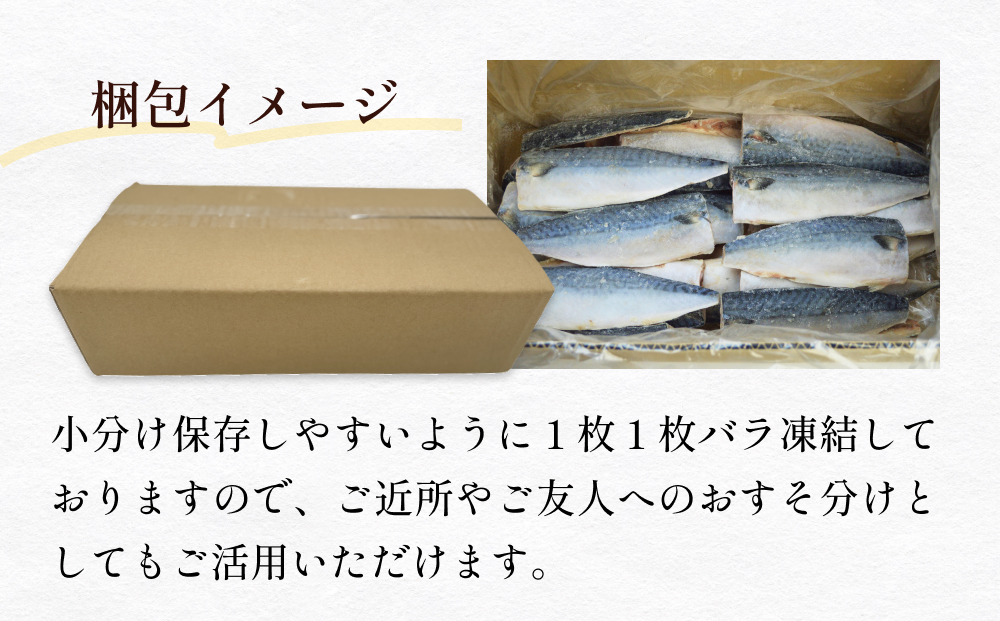 訳あり 無塩サバフィレ1.0kg（10枚前後） 冷凍 さば 鯖 不揃い 魚 お魚 焼き魚 煮魚 おかず お弁当 美味しい 簡単調理