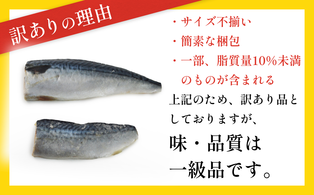 訳あり 無塩サバフィレ3.0kg (30枚前後) 冷凍 さば 鯖 不揃い 魚 お魚 焼き魚 煮魚 おかず お弁当 美味しい 簡単調理