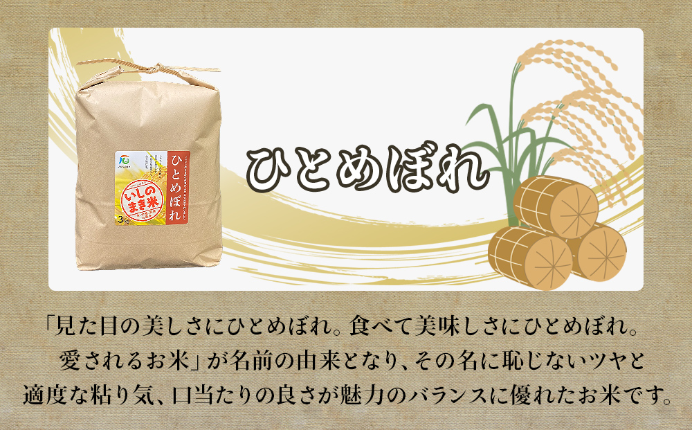 令和６年産 お米3銘柄食べ比べ 9kg  (3kg×3）米 精米 ササニシキ ひとめぼれ だて正夢 宮城県 石巻市 