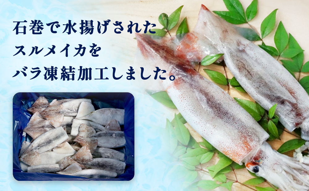 石巻市産スルメイカツボ抜き1kg 冷凍 国産 スルメイカ いか イカ おつまみ 魚介類 焼イカ バーベキュー BBQ 烏賊 炒め物 フライ 唐揚げ