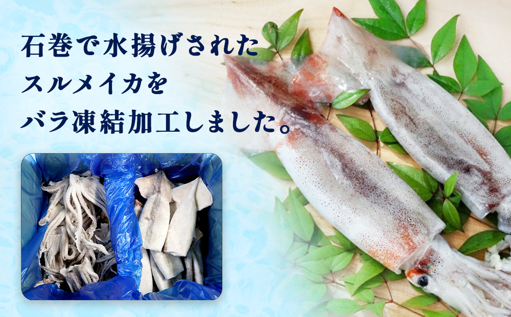 石巻市産スルメイカ2kg 冷凍 国産 スルメイカゲソ1kg  スルメイカ ツボ抜き1kg  いか 下足 イカ イカゲソ つぼ抜き カルパッチョ おつまみ 魚介類 焼イカ バーベキュー BBQ 烏賊 炒め物 フライ ゲソ天 唐揚げ