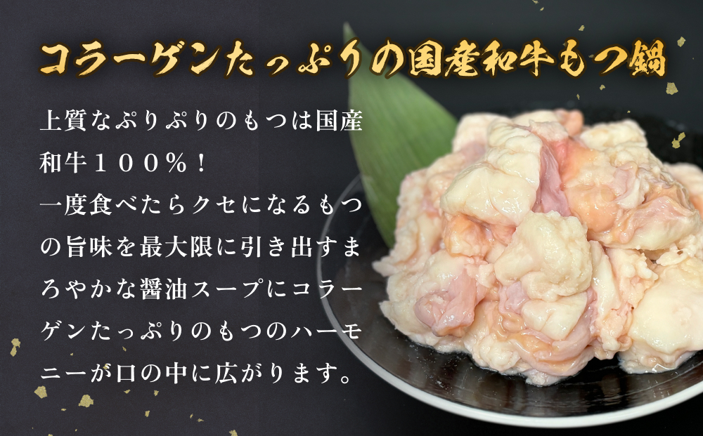 国産和牛もつ鍋２人前 1回分 冷凍 スープ付 モツ ホルモン モツ鍋 牛モツ 牛 和牛 鍋セット 簡単調理