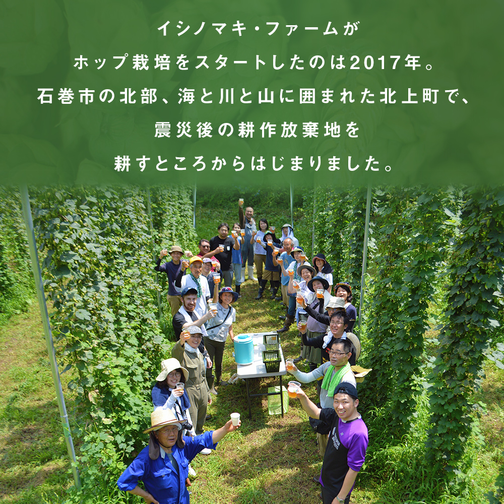 石巻産クラフトビール 定番3種 6本セット ビール クラフトビール 瓶ビール beer 瓶 ビン 3種 6本 セット 巻風エール 巻風IPA 巻風WHEAT お中元 お歳暮 内祝い 宮城県 石巻市 国産 母の日 父の日