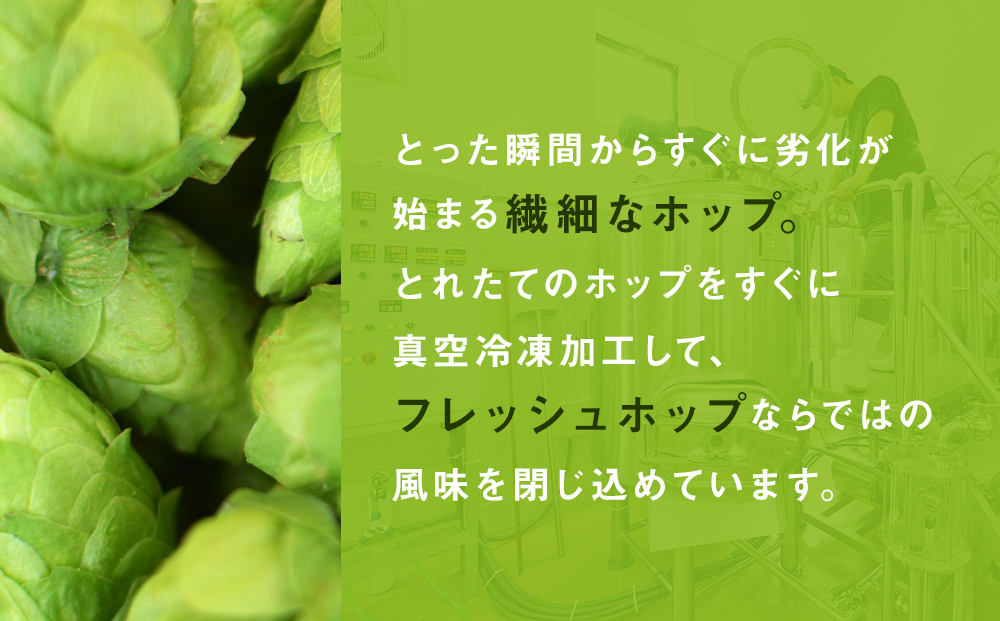 石巻産クラフトビール 定番3種 24本セット ビール クラフトビール 瓶ビール beer 瓶 ビン 3種 24本 セット 巻風エール 巻風IPA 巻風WHEAT お中元 お歳暮 内祝い 宮城県 石巻市 国産 母の日 父の日