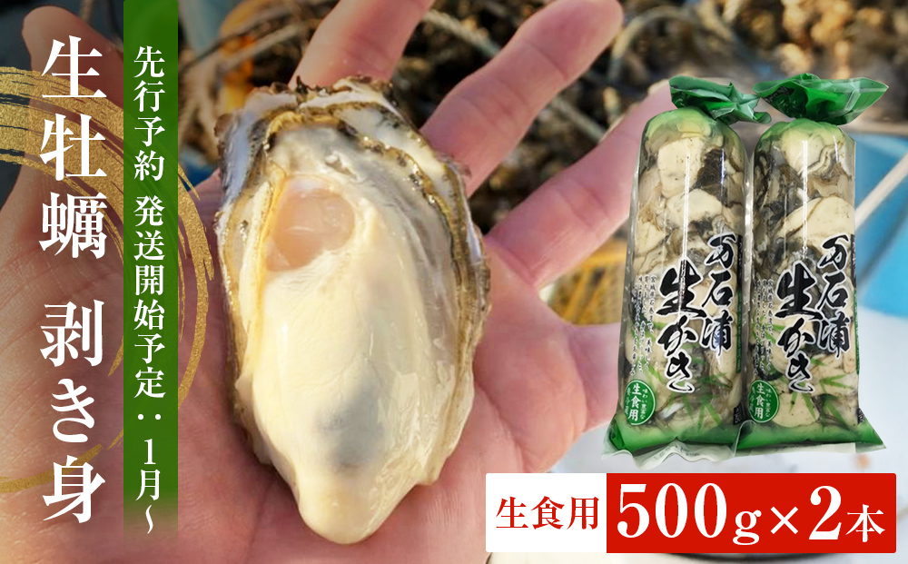 生牡蠣 牡蠣 生食用 かき剥き身 500g 2本入 水無し 生産者直送 かき 生食 魚介 魚介類