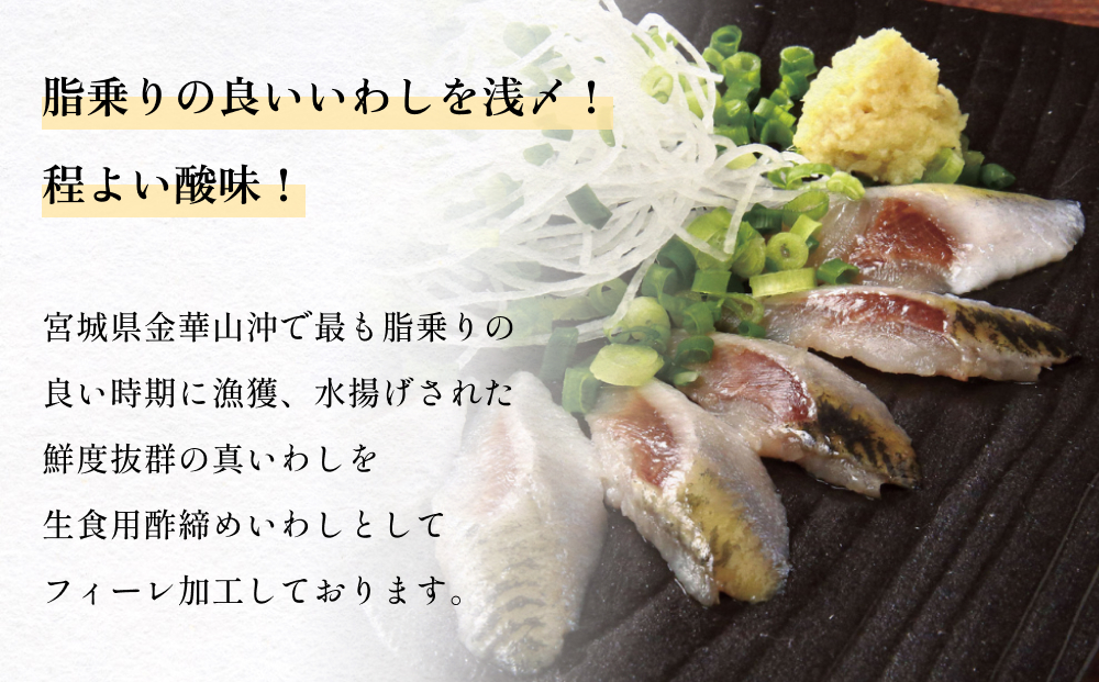 とろ金華いわし酢〆フィーレ 500g 金華いわし 鰯 いわし イワシ フィレ 切身 酢締め お酢 魚 魚介 海鮮 魚介類 冷凍