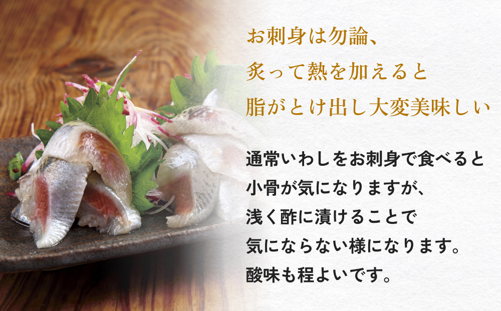 とろ金華いわし酢〆フィーレ 500g 金華いわし 鰯 いわし イワシ フィレ 切身 酢締め お酢 魚 魚介 海鮮 魚介類 冷凍