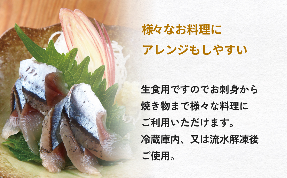 お刺身 秋刀魚 フィーレ 500g サンマ さんま フィレ 切身 生食用 魚 魚介 海鮮 魚介類 急速冷凍