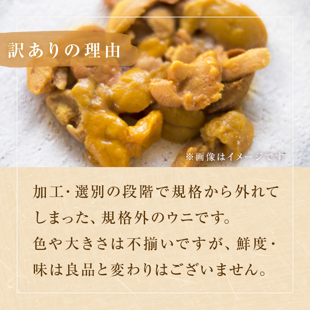  〈先行予約〉生うに ウニ 訳あり 塩水生うに 宮城県産  160g（80g×2） 生ウニ 生雲丹 うに 雲丹 塩水うに 塩水ウニ 塩水雲丹 冷蔵 期間限定 数量限定