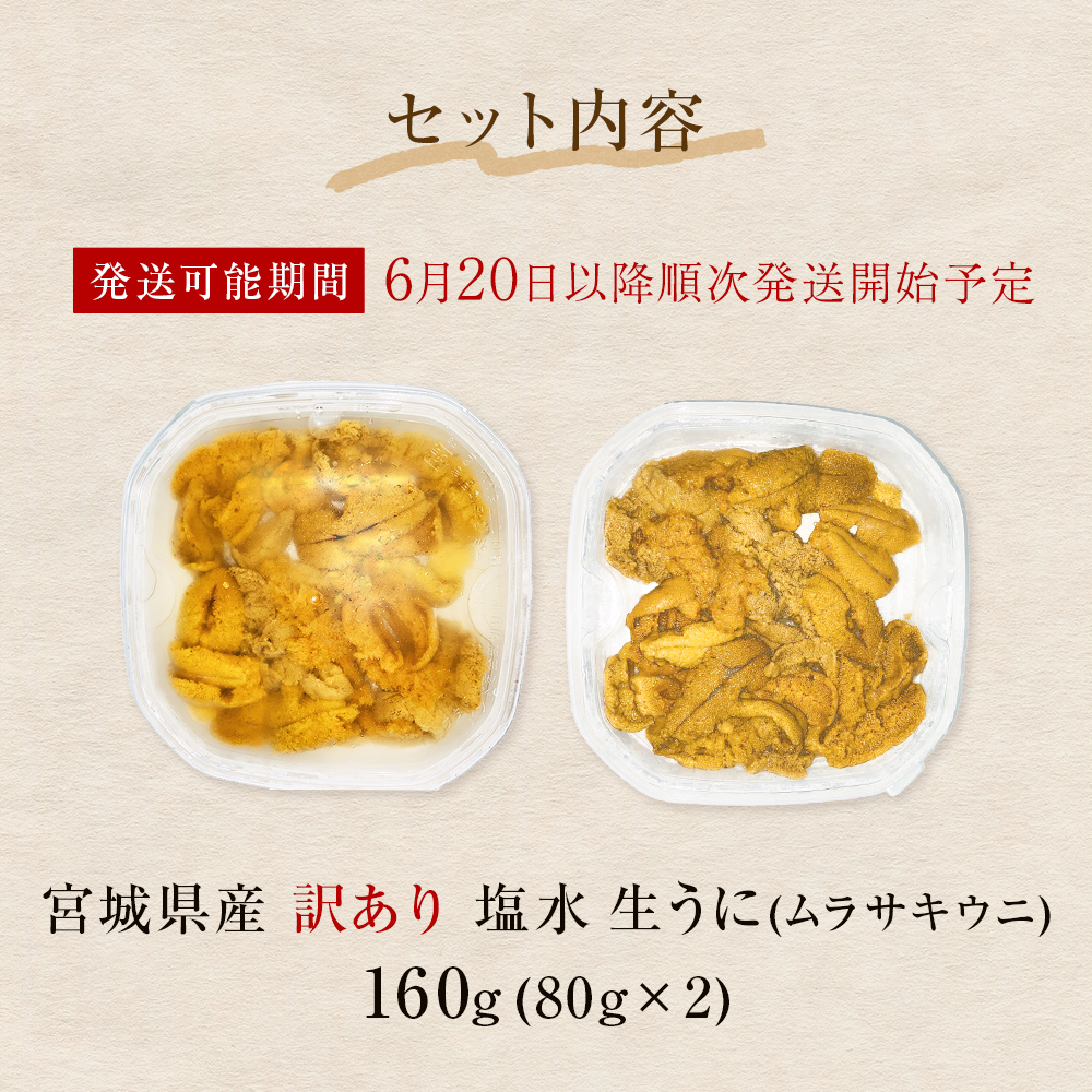  〈先行予約〉生うに ウニ 訳あり 塩水生うに 宮城県産  160g（80g×2） 生ウニ 生雲丹 うに 雲丹 塩水うに 塩水ウニ 塩水雲丹 冷蔵 期間限定 数量限定