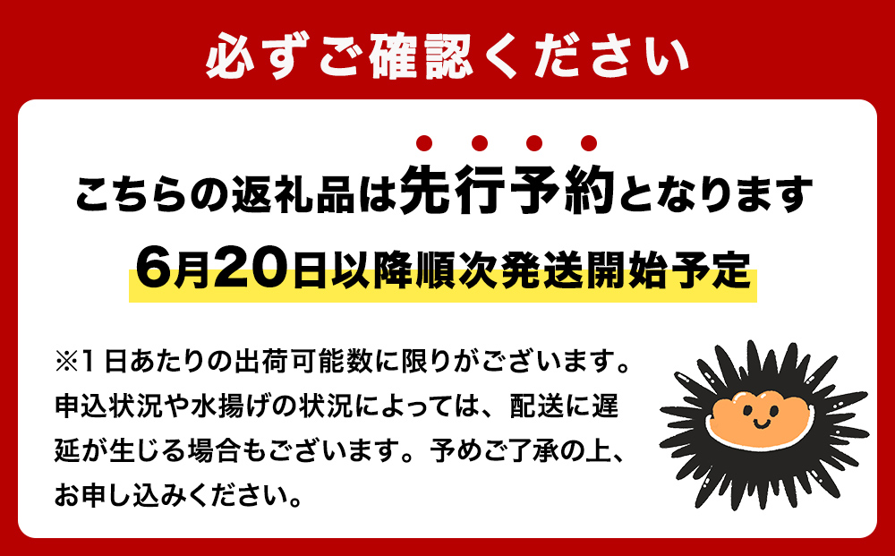  〈先行予約〉生うに ウニ 訳あり 塩水生うに 宮城県産  160g（80g×2） 生ウニ 生雲丹 うに 雲丹 塩水うに 塩水ウニ 塩水雲丹 冷蔵 期間限定 数量限定