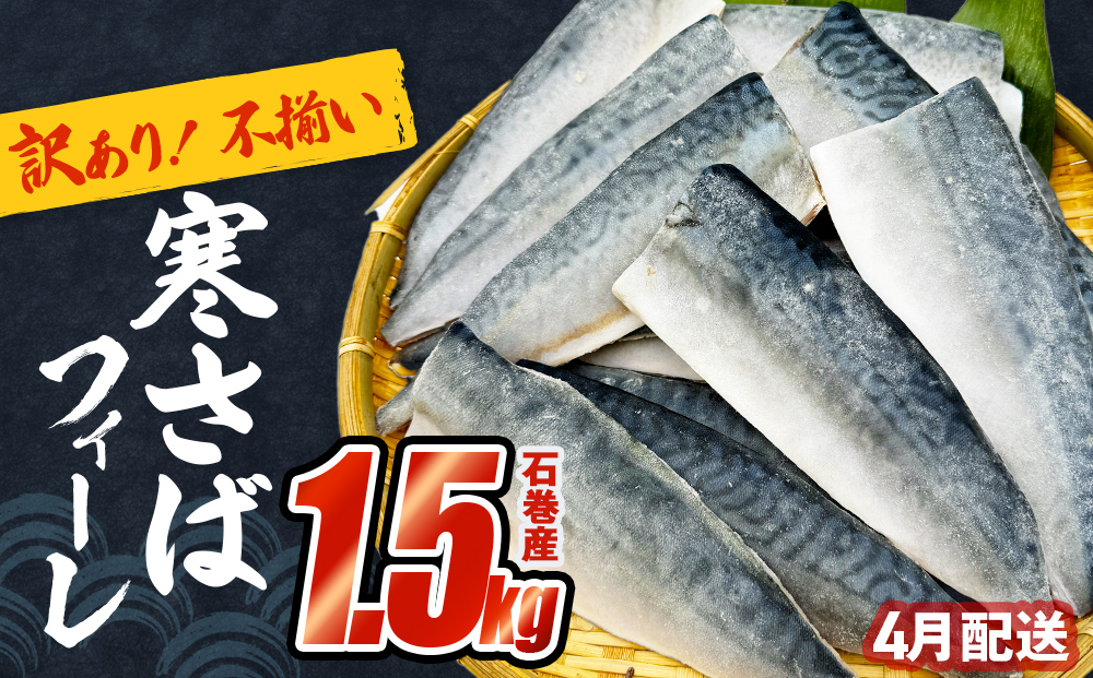 さば 〈 訳あり 〉4月配送 宮城県産 寒さば フィーレ 無塩 1.5kg 冷凍　魚 青魚 鯖 切身 焼魚 煮魚 わけあり 不揃い ご家庭用 食塩無添加 国産 鯖フィレ サバフィーレ 切り身 バラバラ冷凍 鯖の味噌味 宮城県 石巻市