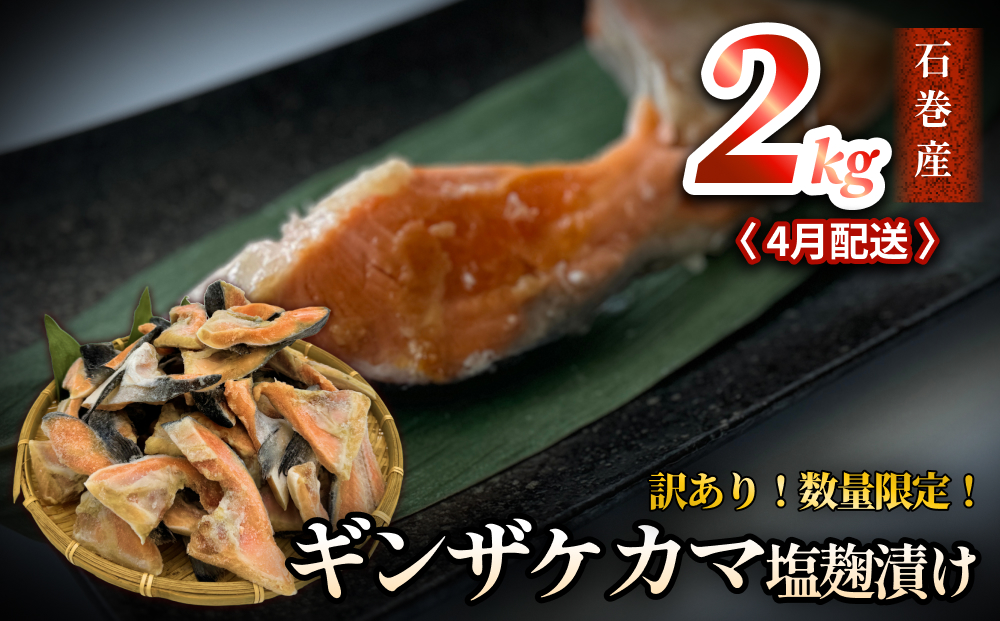 【数量限定】4月配送 訳あり ギンザケ カマ 塩麹漬け 石巻産 2kg 銀鮭 鮭カマ さけカマ ギンザケカマ 銀鮭カマ 塩麹漬けカマ 鮭 漬魚 サーモン 鮭 焼き魚 魚 焼魚