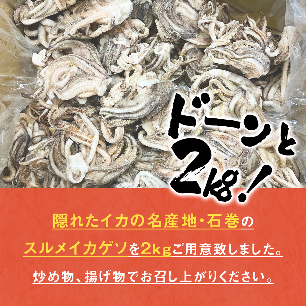 訳あり 石巻産スルメイカゲソ 2kg 4月配送 冷凍 国産 いか 下足 おつまみ ゲソ天 焼イカ おかず