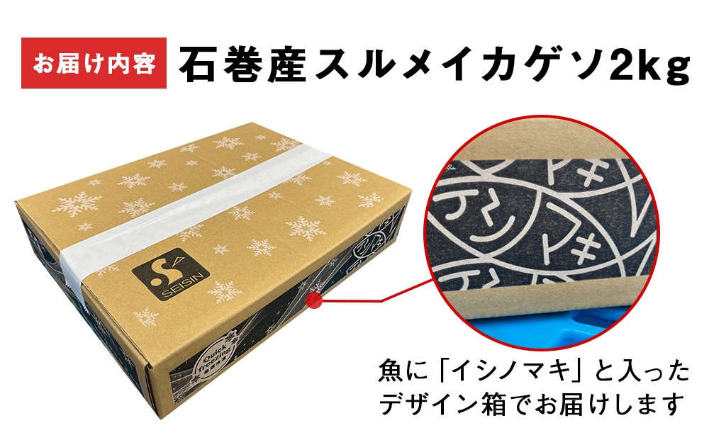 訳あり 石巻産スルメイカゲソ 2kg 4月配送 冷凍 国産 いか 下足 おつまみ ゲソ天 焼イカ おかず