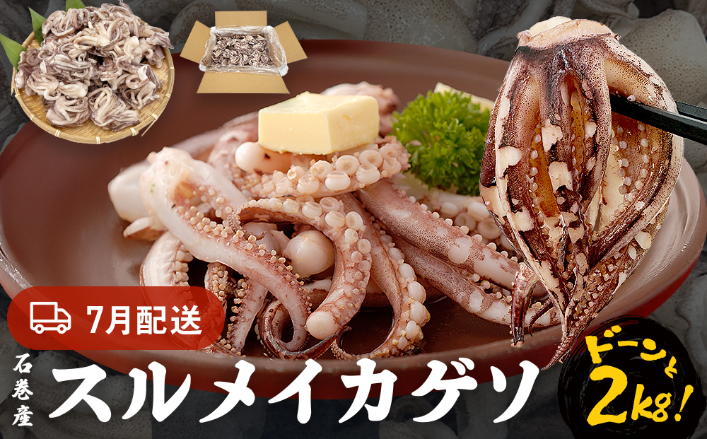 訳あり 石巻産スルメイカゲソ 2kg 7月配送 冷凍 国産 いか 下足 おつまみ ゲソ天 焼イカ おかず