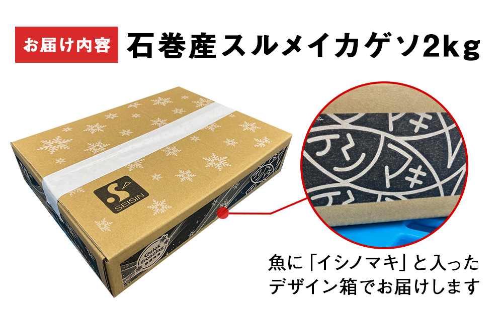 訳あり 石巻産スルメイカゲソ 2kg 7月配送 冷凍 国産 いか 下足 おつまみ ゲソ天 焼イカ おかず