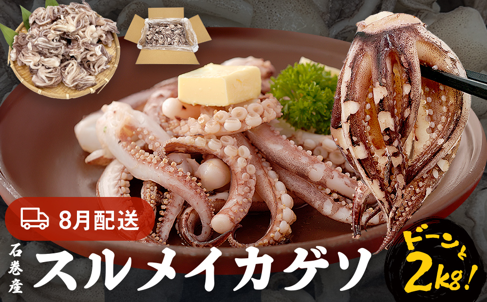 訳あり 石巻産スルメイカゲソ 2kg 8月配送 冷凍 国産 いか 下足 おつまみ ゲソ天 焼イカ おかず