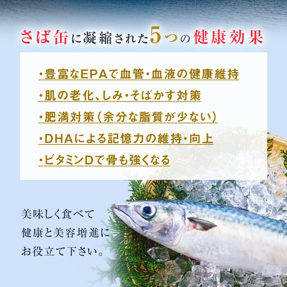 【8月配送】缶詰 さば缶詰 味噌煮 12缶 サバ缶 鯖缶 さば缶 鯖 味噌 国産 常温 長期保管 ローリングストック 備蓄 常温保存 防災 非常食 キャンプ 保存食 長期保存可 缶詰め セット 保存料 無添加 STIみやぎ