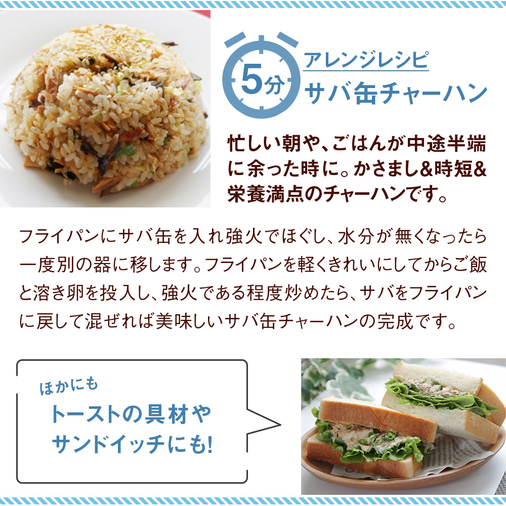 【11月配送】缶詰 さば缶詰 味噌煮 12缶 サバ缶 鯖缶 さば缶 鯖 味噌 国産 常温 長期保管 ローリングストック 備蓄 常温保存 防災 非常食 キャンプ 保存食 長期保存可 缶詰め セット 保存料 無添加 STIみやぎ