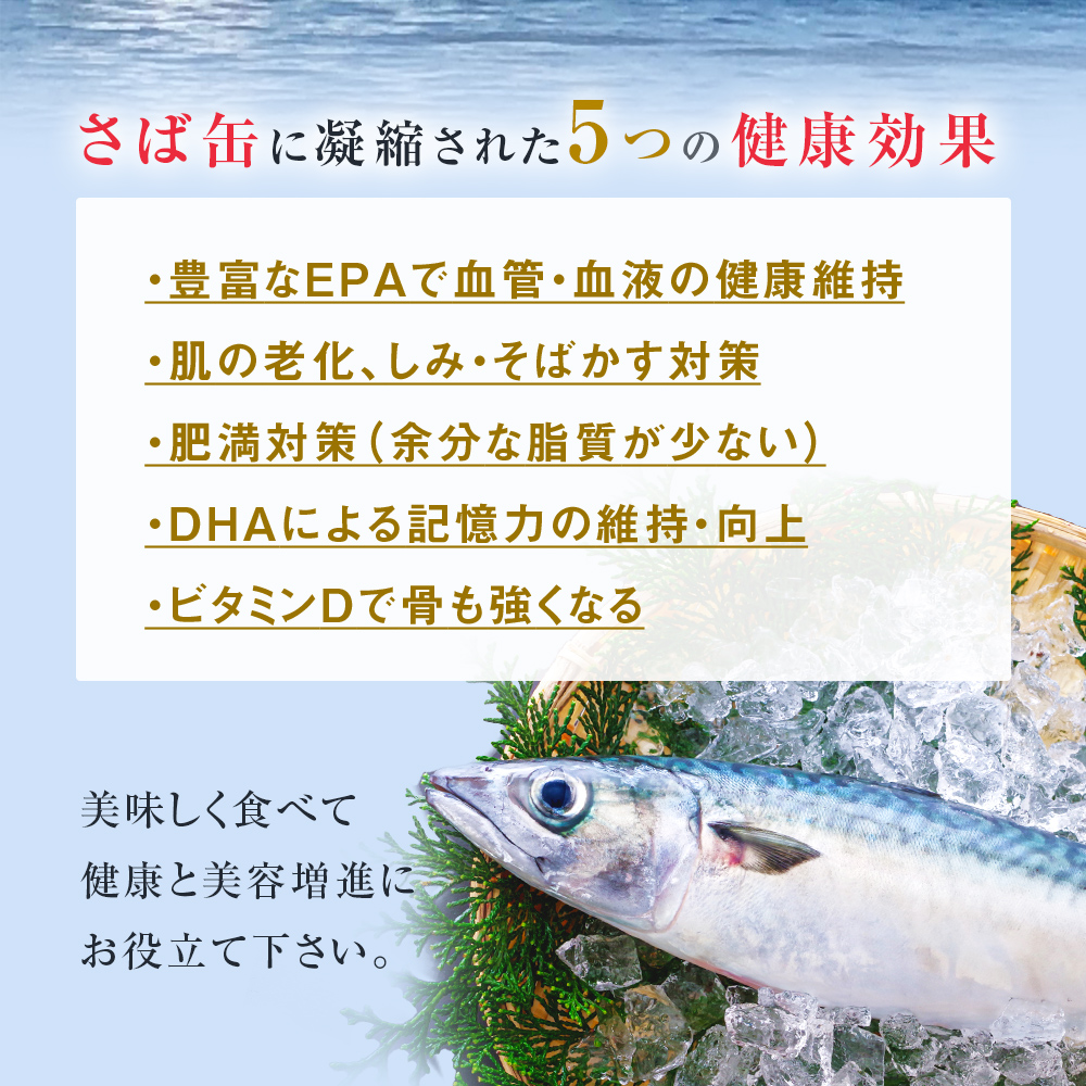 【10月配送】缶詰 さば缶詰 水煮 12缶 サバ缶 鯖缶 さば缶 鯖 国産 常温 長期保管 ローリングストック 備蓄 常温保存 防災 非常食 キャンプ 保存食 長期保存可 缶詰め セット 保存料 無添加 STIみやぎ