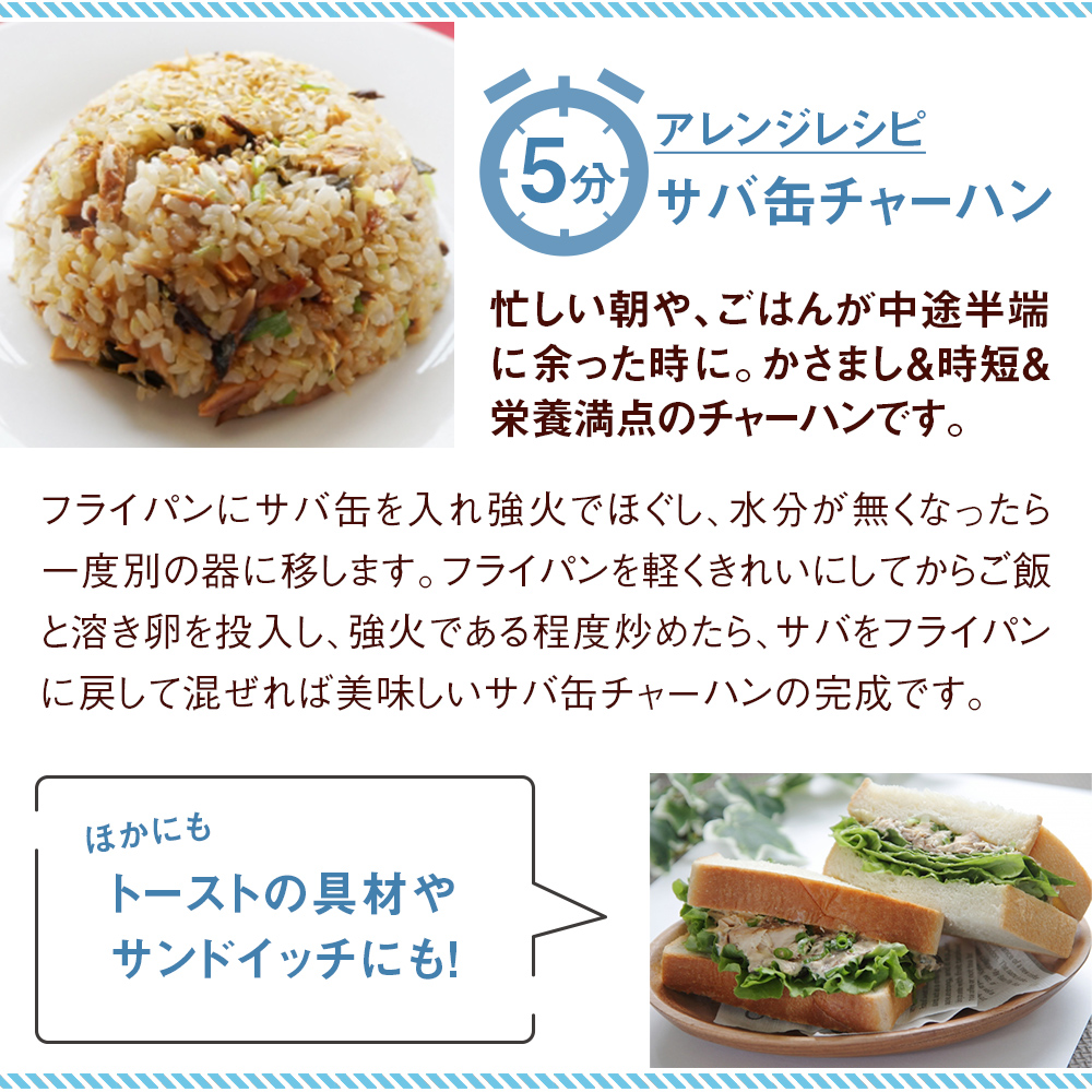 【11月配送】缶詰 さば缶詰 味噌煮 24缶 サバ缶 鯖缶 さば缶 鯖 味噌 国産 常温 長期保管 ローリングストック 備蓄 常温保存 防災 非常食 キャンプ 保存食 長期保存可 缶詰め セット 保存料 無添加 STIみやぎ