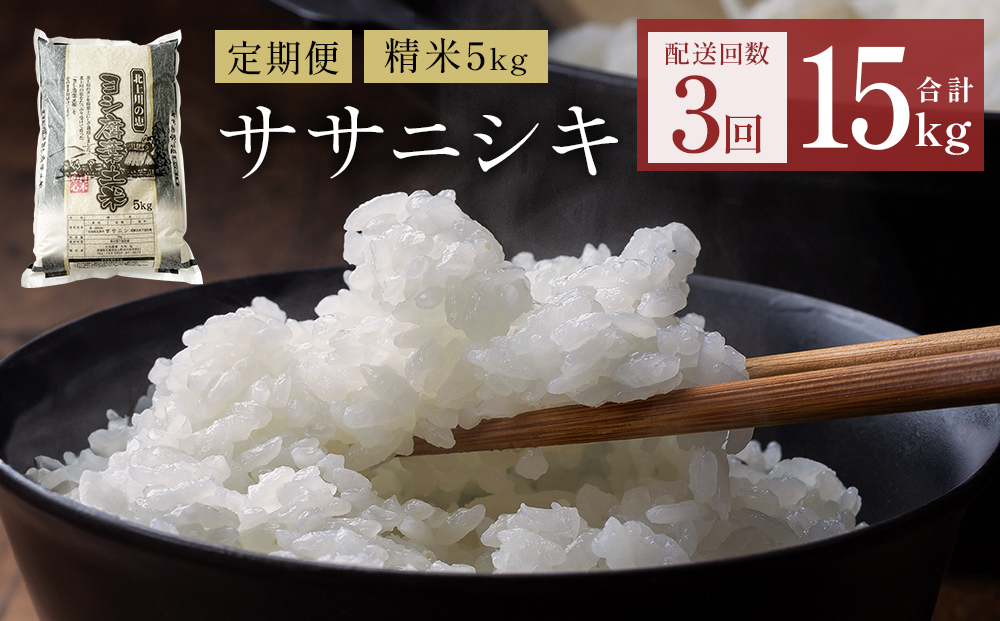 【定期便3回】 米 令和7年産 ササニシキ 精米 15kg (5kg×3) こめ コメ お米 ご飯 白米 ささにしき 定期便 3回